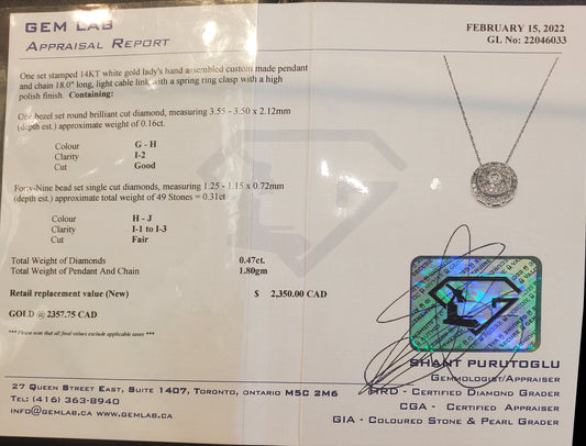 #4795 diamond pendant appraised at $2350