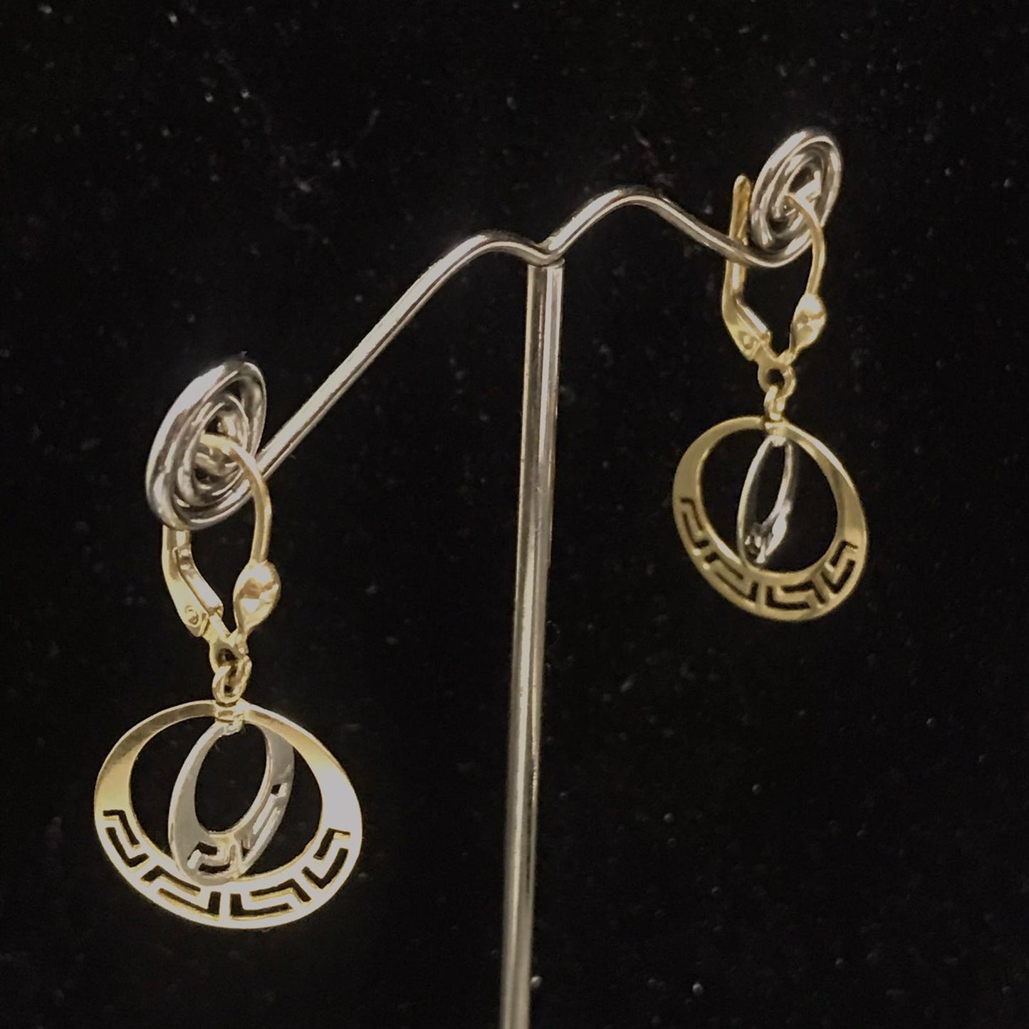 10Kt White and Yellow Earrings 4151